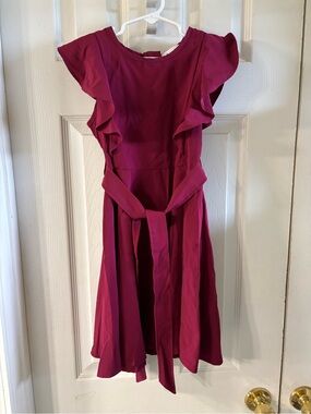 Maroon Ruffle Sleeve Fit & Flare Dress